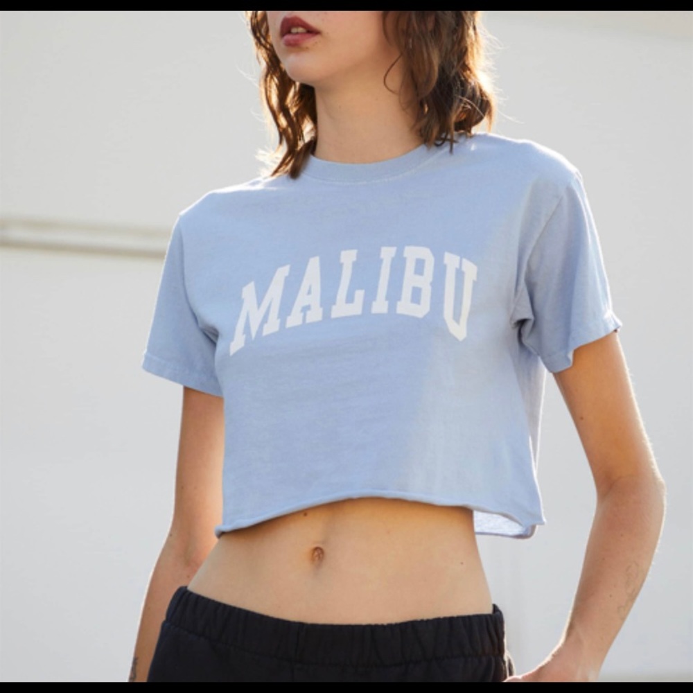 Blue Malibu Brandy Melville Cropped Tee